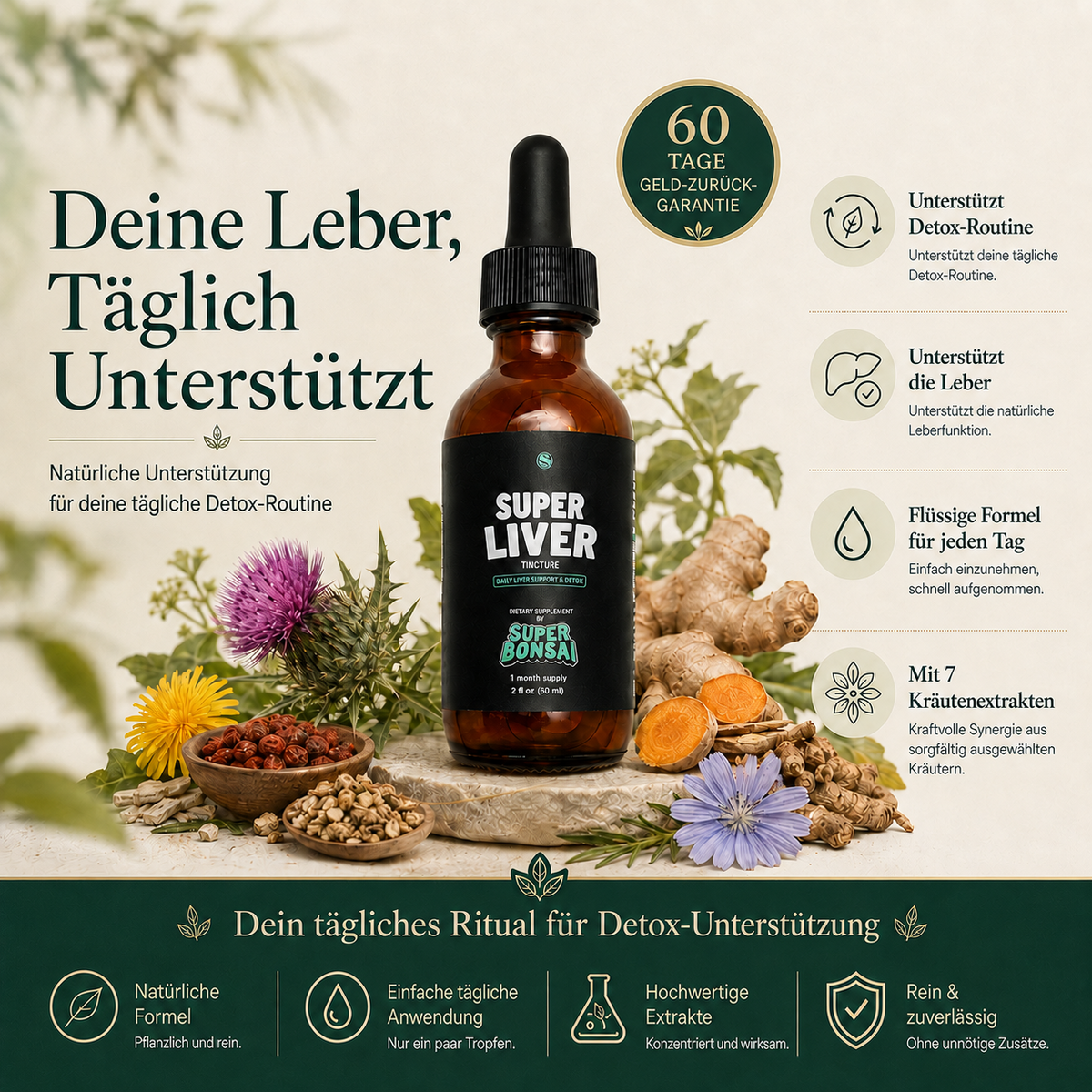 Super Liver – tägliche Unterstützung für Leber und Detox-Routine